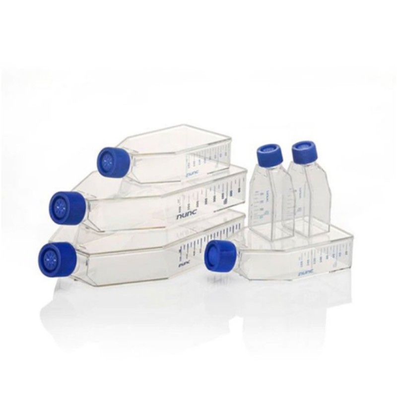 Cell Culture Flasks